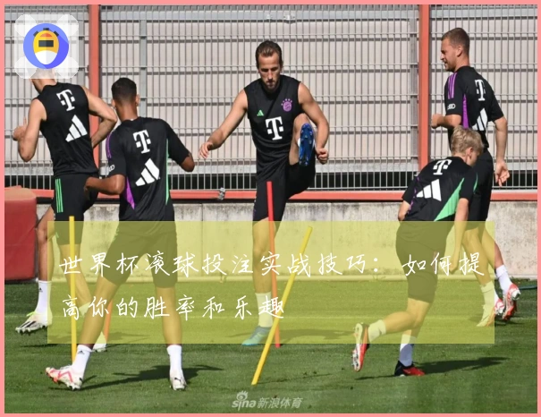 世界杯滚球投注实战技巧：如何提高你的胜率和乐趣
