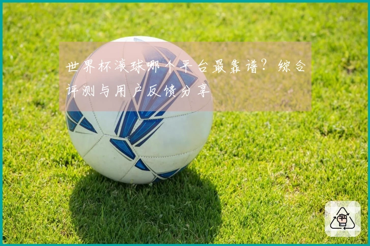 世界杯滚球哪个平台最靠谱？综合评测与用户反馈分享