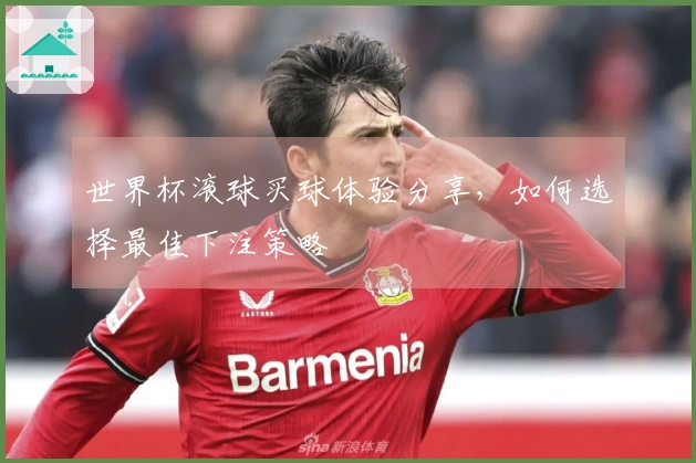 世界杯滚球买球体验分享,如何选择最佳下注策略