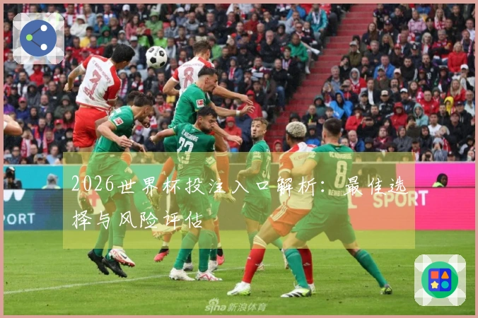 2026世界杯投注入口解析：最佳选择与风险评估