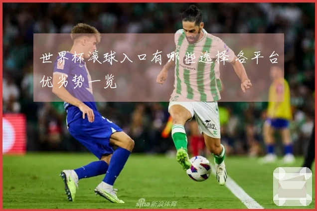 世界杯滚球入口有哪些选择 各平台优劣势一览