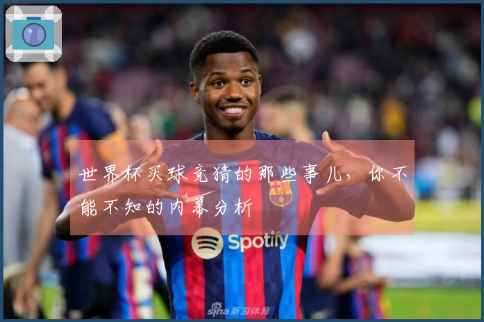 世界杯买球竞猜的那些事儿，你不能不知的内幕分析