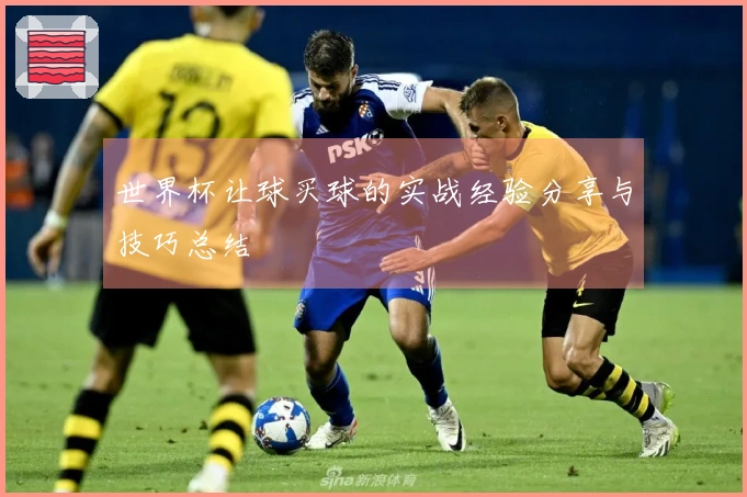 世界杯让球买球的实战经验分享与技巧总结