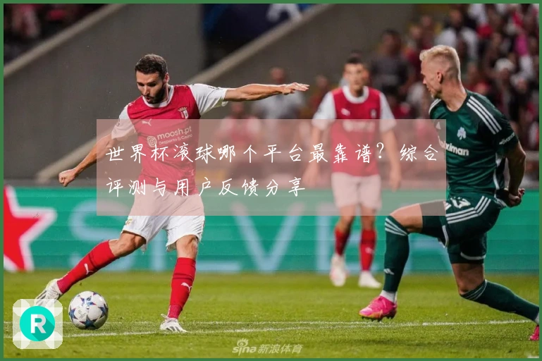 世界杯滚球哪个平台最靠谱？综合评测与用户反馈分享