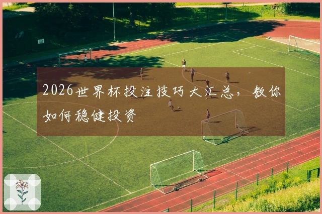 2026世界杯投注技巧大汇总,教你如何稳健投资