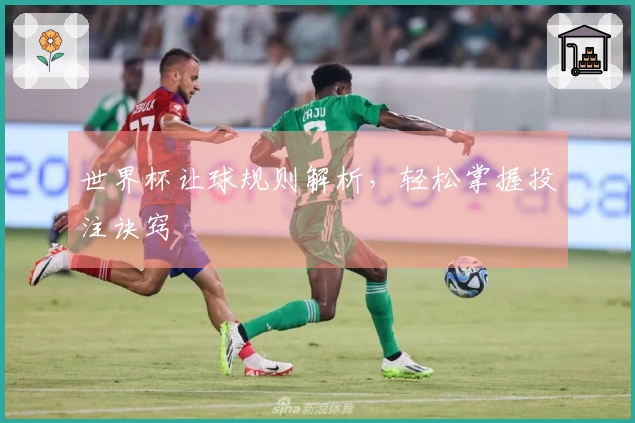 世界杯让球规则解析，轻松掌握投注诀窍
