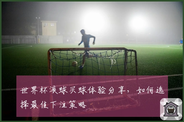 世界杯滚球买球体验分享，如何选择最佳下注策略