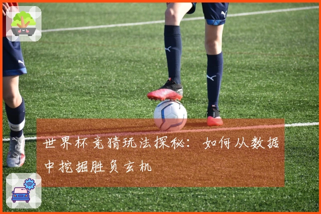世界杯竞猜玩法探秘：如何从数据中挖掘胜负玄机