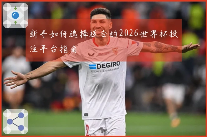 新手如何选择适合的2026世界杯投注平台指南