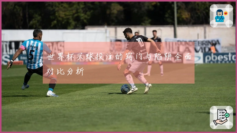 世界杯买球投注的窍门与陷阱全面对比分析