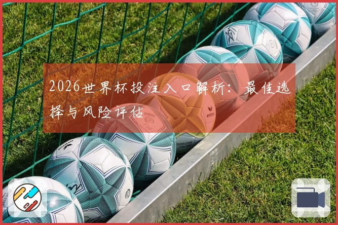 2026世界杯投注入口解析：最佳选择与风险评估
